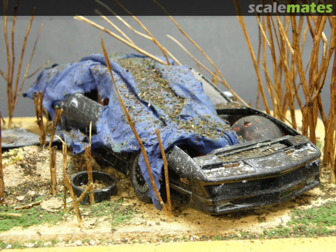 View album, image #1 View album, image #1