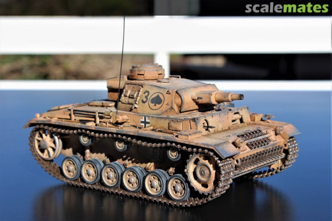 View album, image #9 View album, image #9