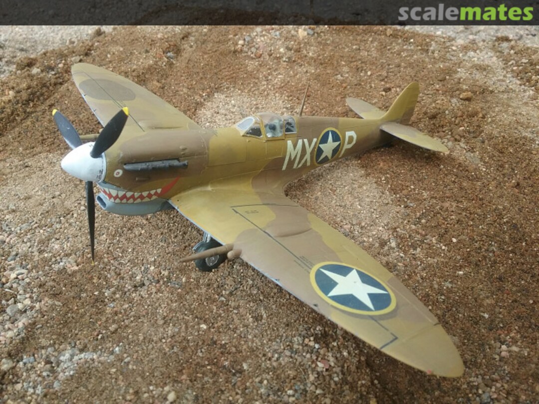 View album, image #1 View album, image #1