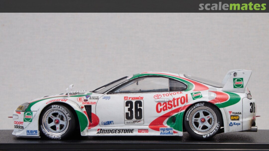 View album, image #8 View album, image #8