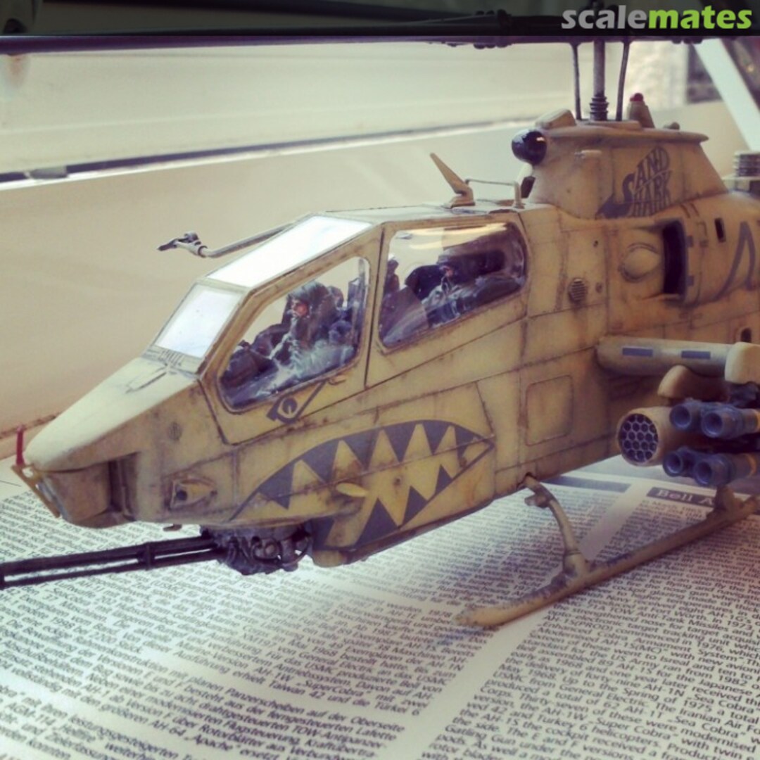 View album, image #8 View album, image #8