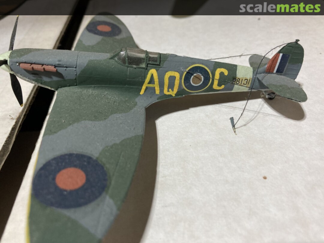 View album, image #1 View album, image #1