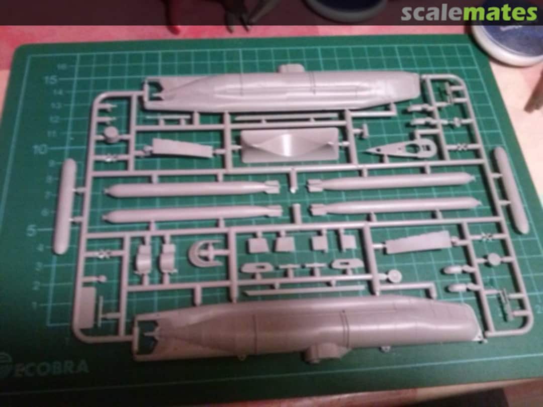 View album, image #1 View album, image #1