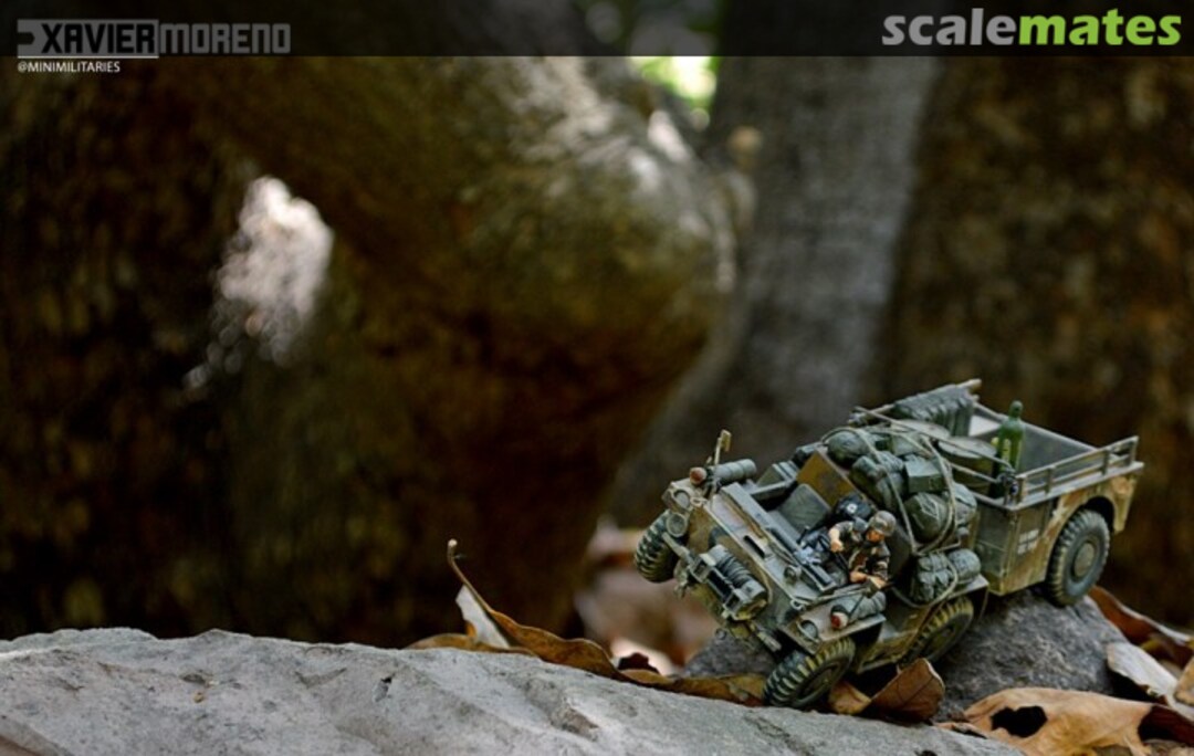 View album, image #1