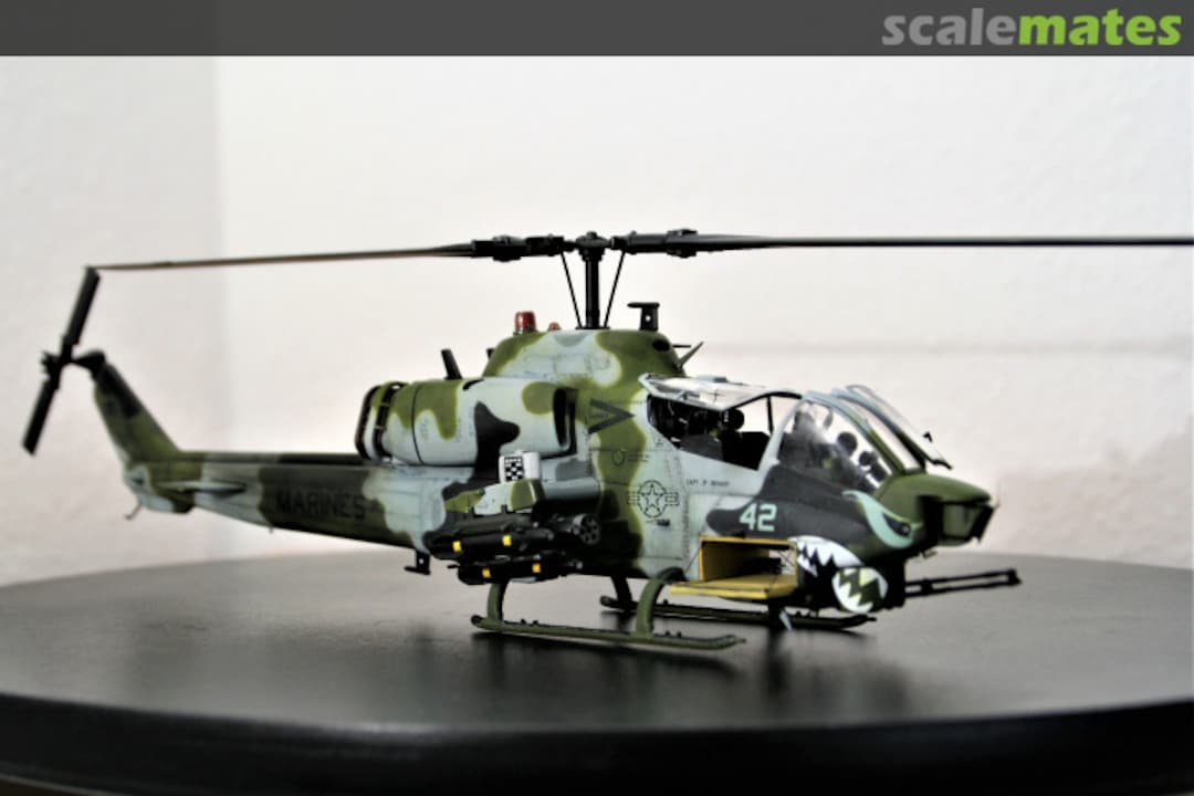 View album, image #1 View album, image #1