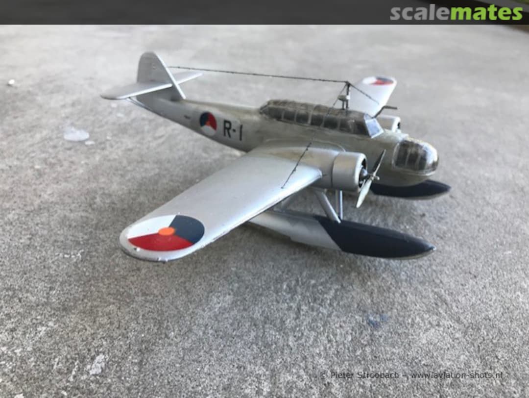 View album, image #1 View album, image #1