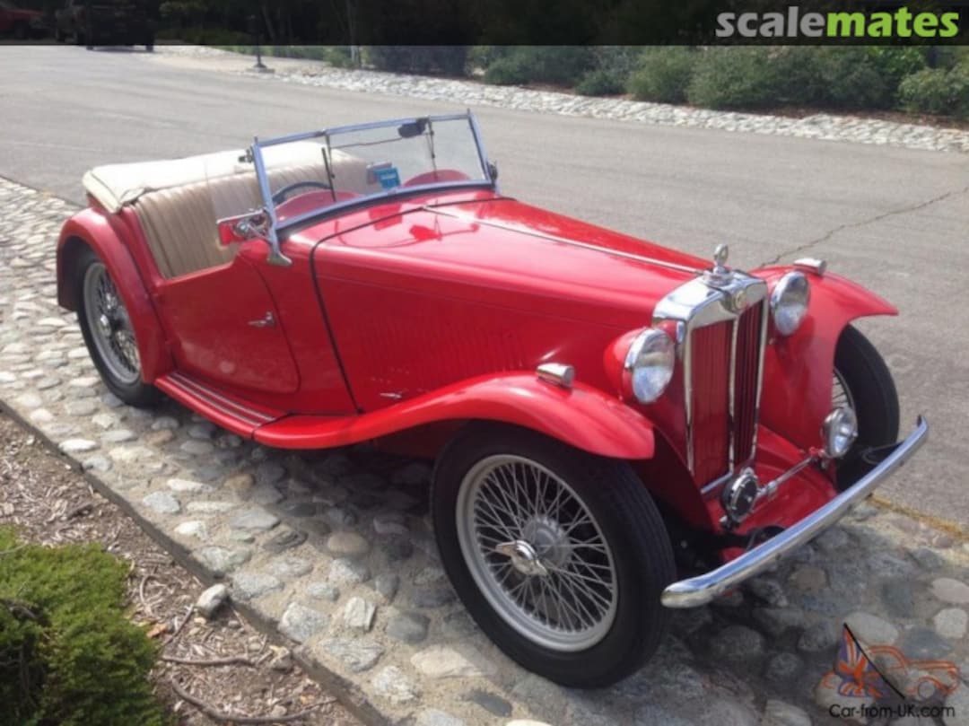 View album, image #1 View album, image #1