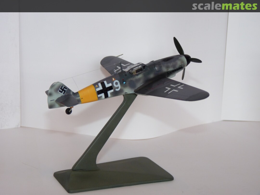 View album, image #1 View album, image #1