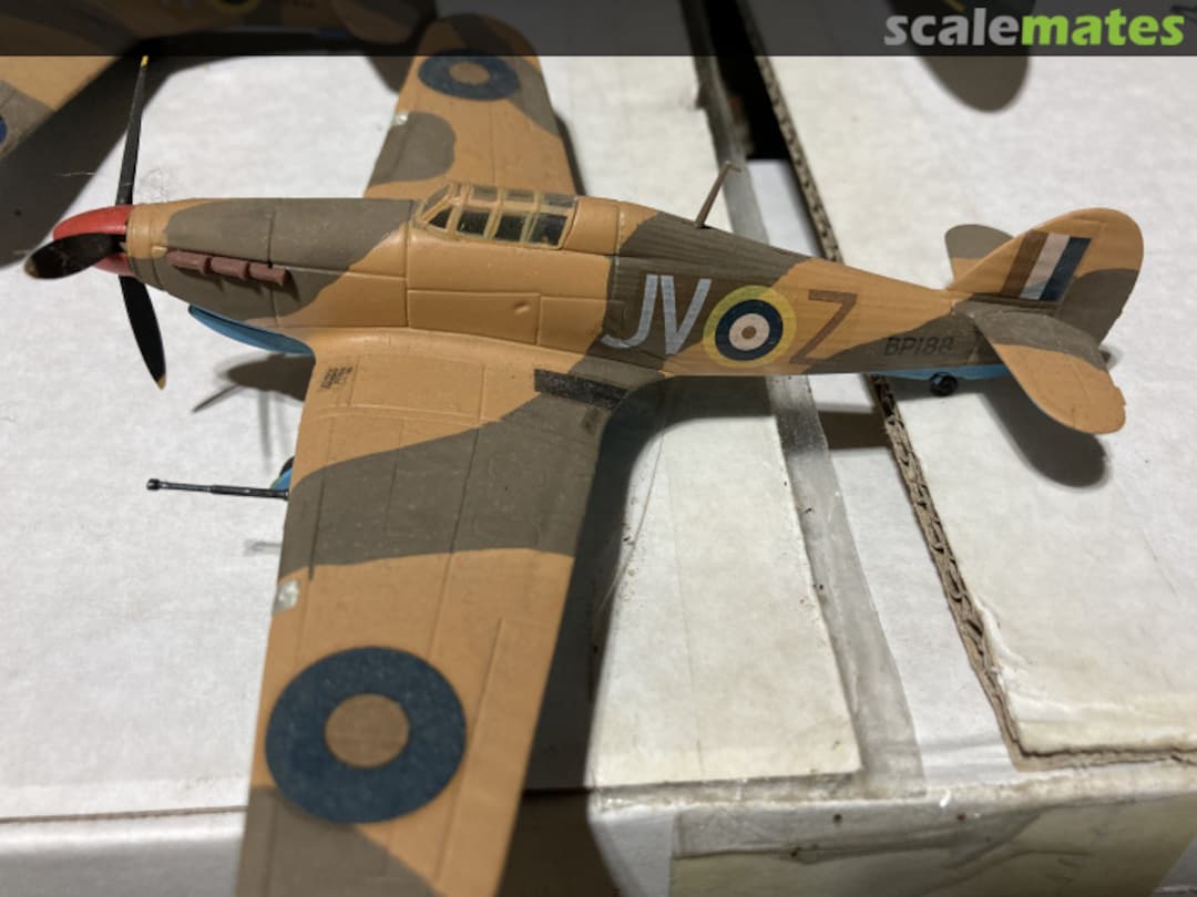 View album, image #1