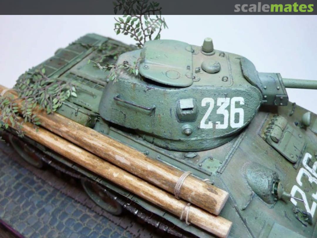 View album, image #1 View album, image #1