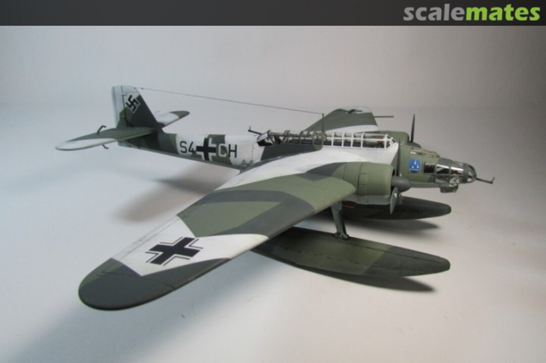 View album, image #1 View album, image #1