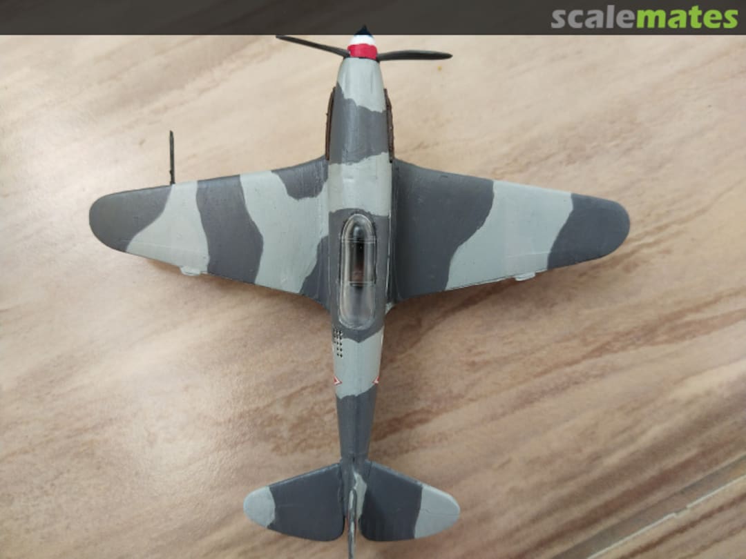 View album, image #1 View album, image #1