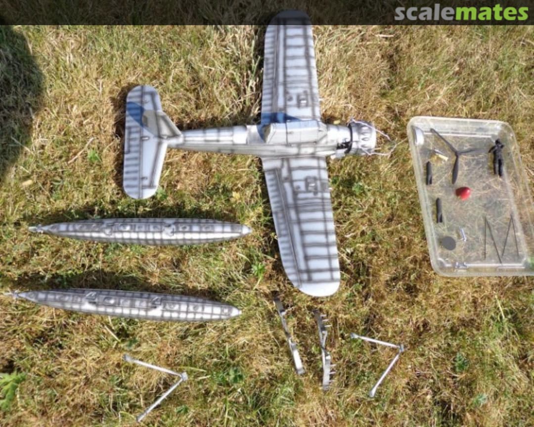 View album, image #1 View album, image #1