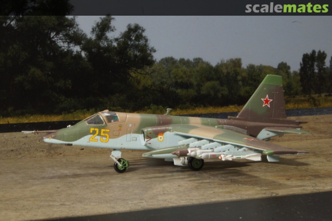 View album, image #1 View album, image #1