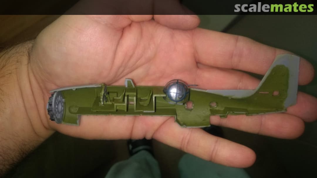 View album, image #5