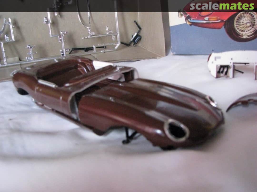 View album, image #1