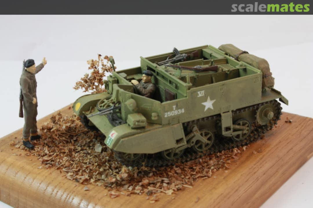 View album, image #1 View album, image #1