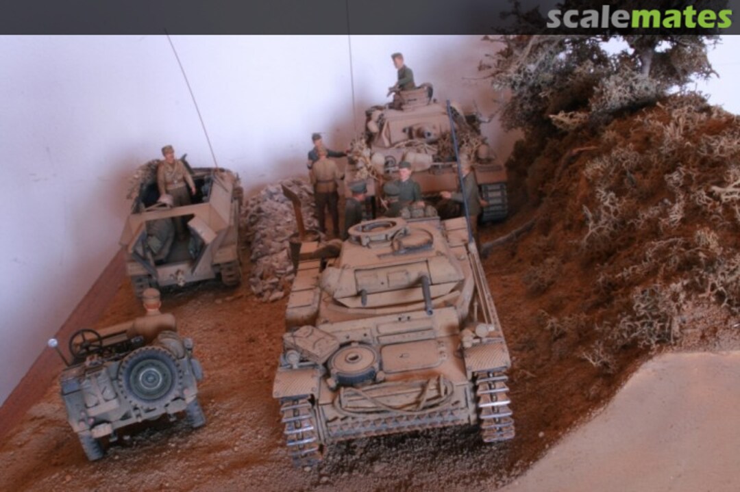 View album, image #6 View album, image #6