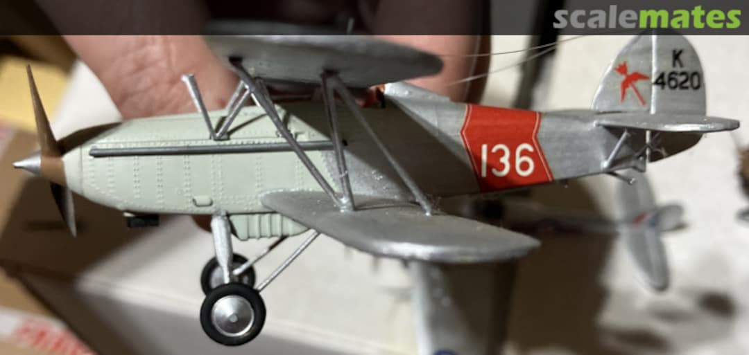 View album, image #1