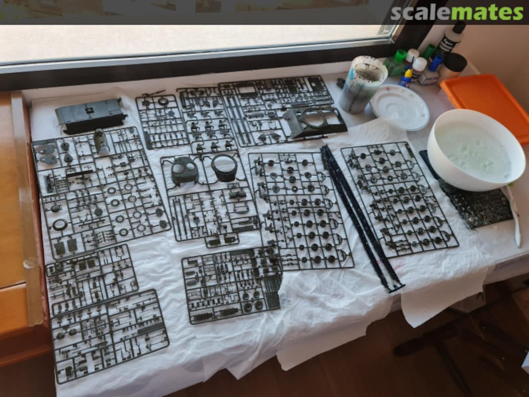 View album, image #1