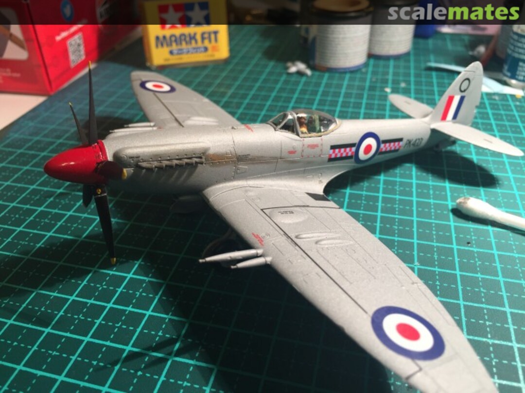 View album, image #15 View album, image #15