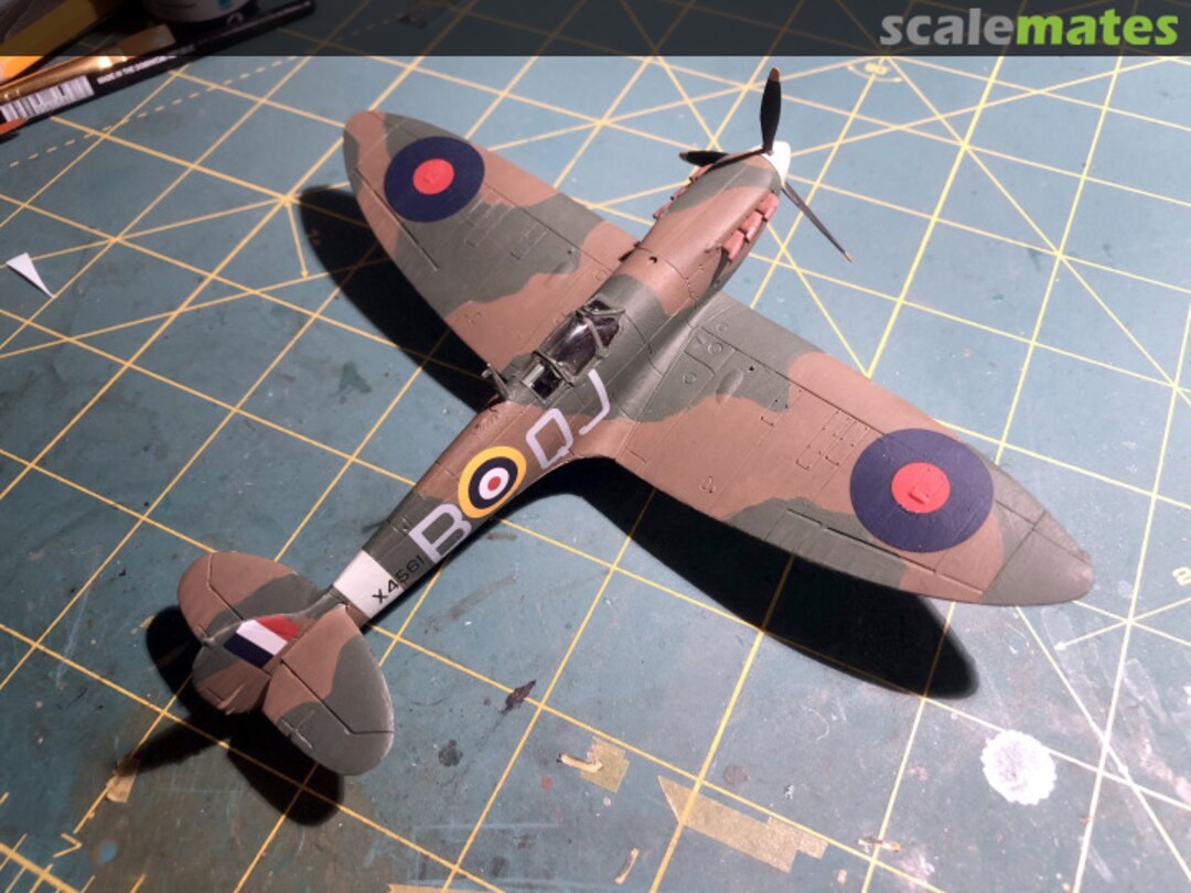 View album, image #14 View album, image #14