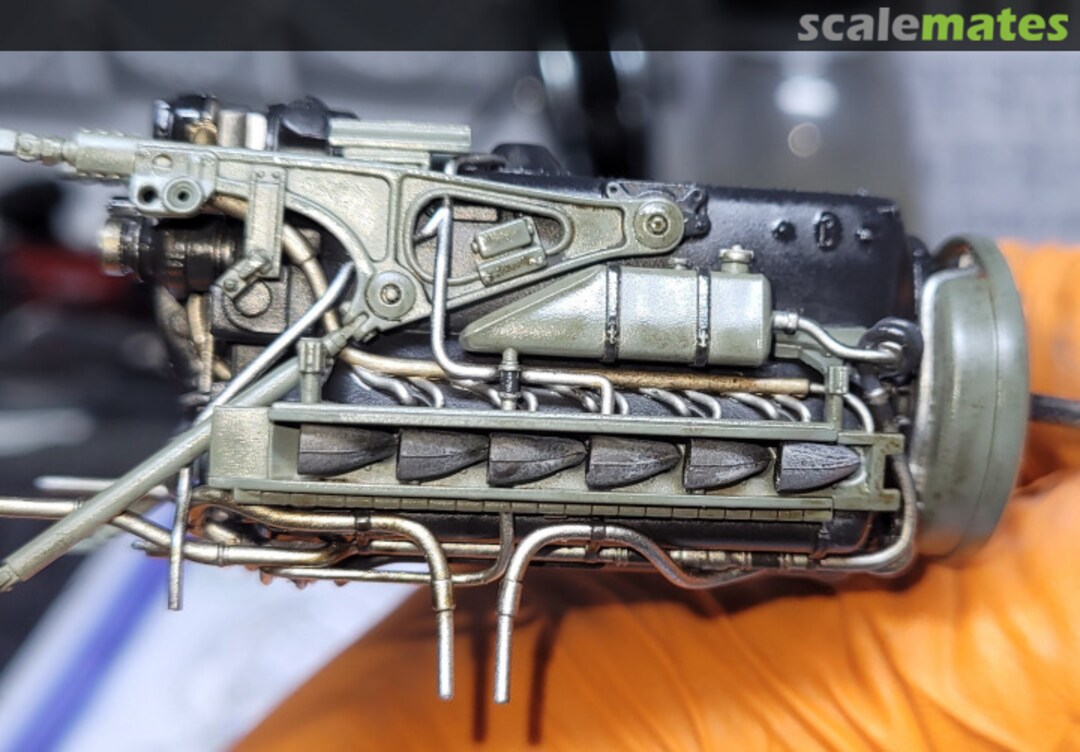 View album, image #14