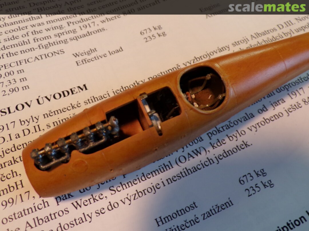 View album, image #5