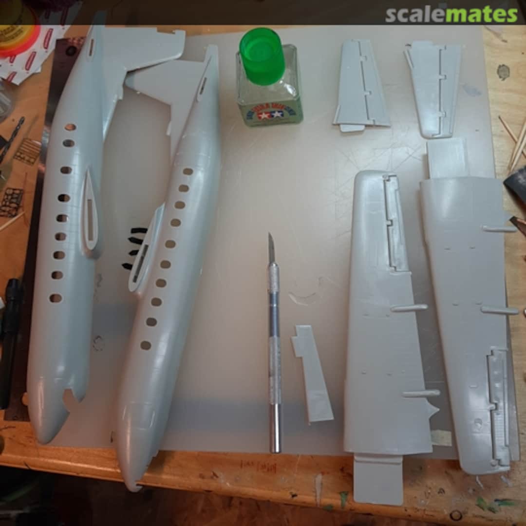 View album, image #1 View album, image #1