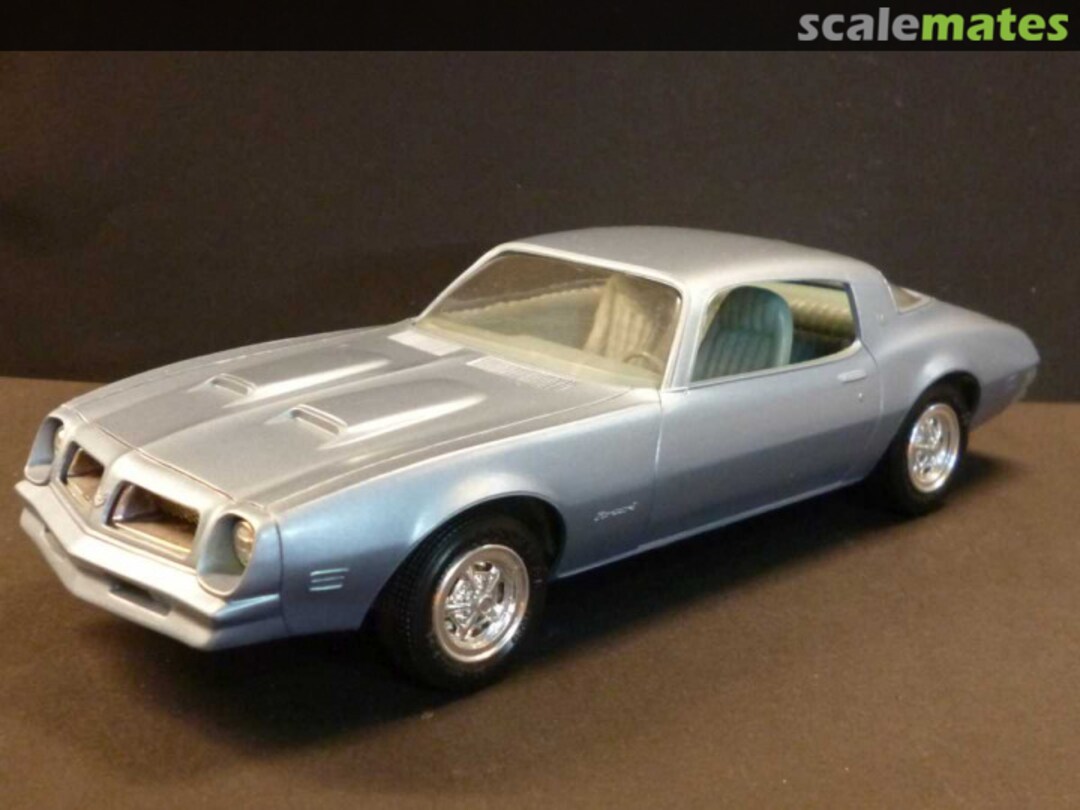 View album, image #1 View album, image #1