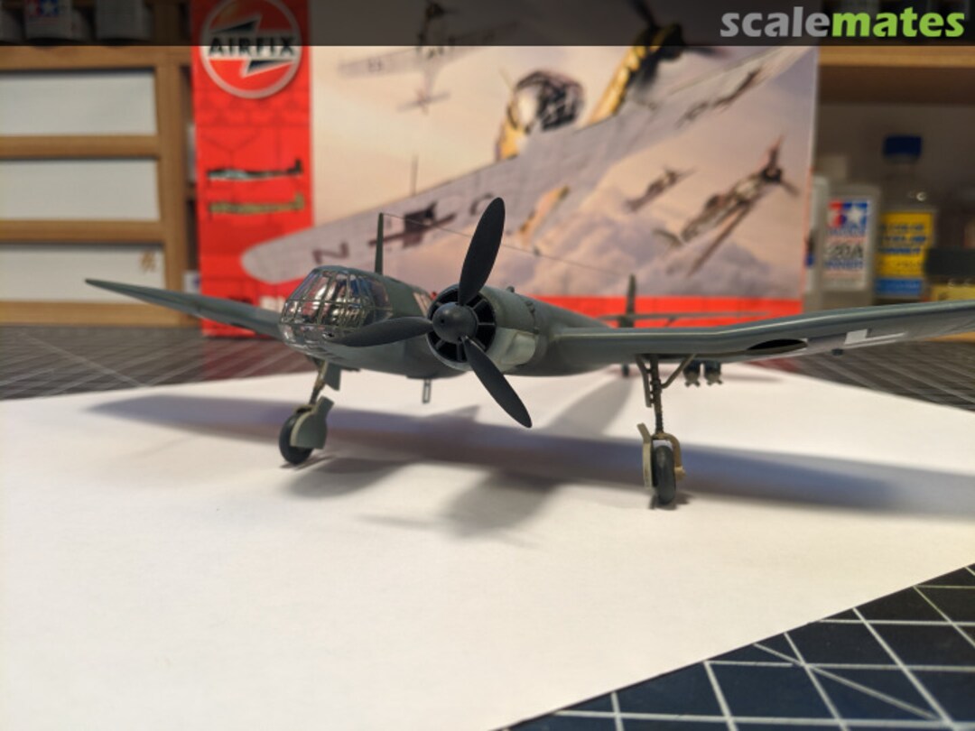 View album, image #1 View album, image #1