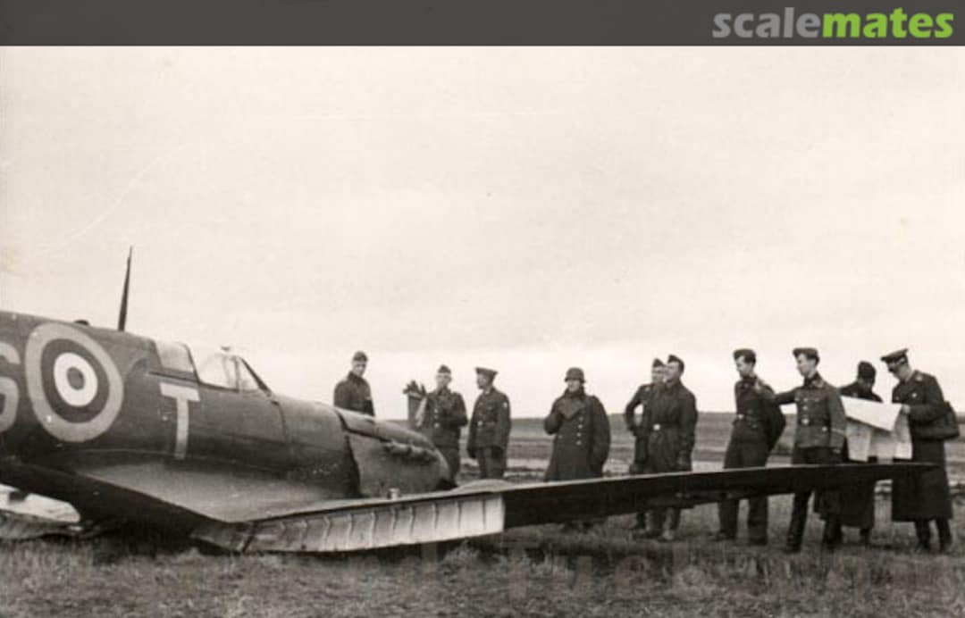 View album, image #2