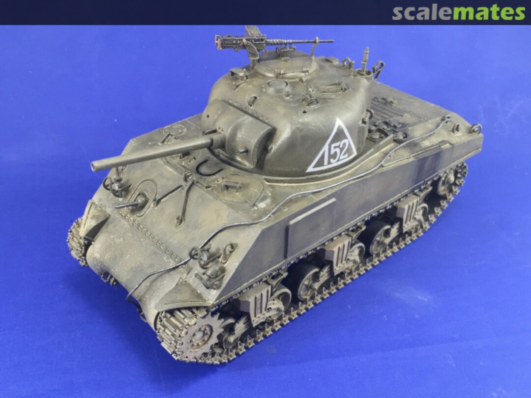 View album, image #20 View album, image #20