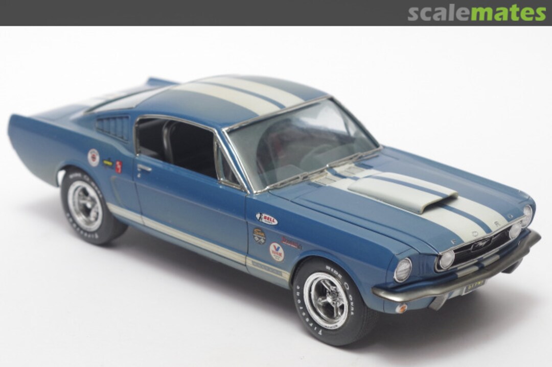 View album, image #1 View album, image #1