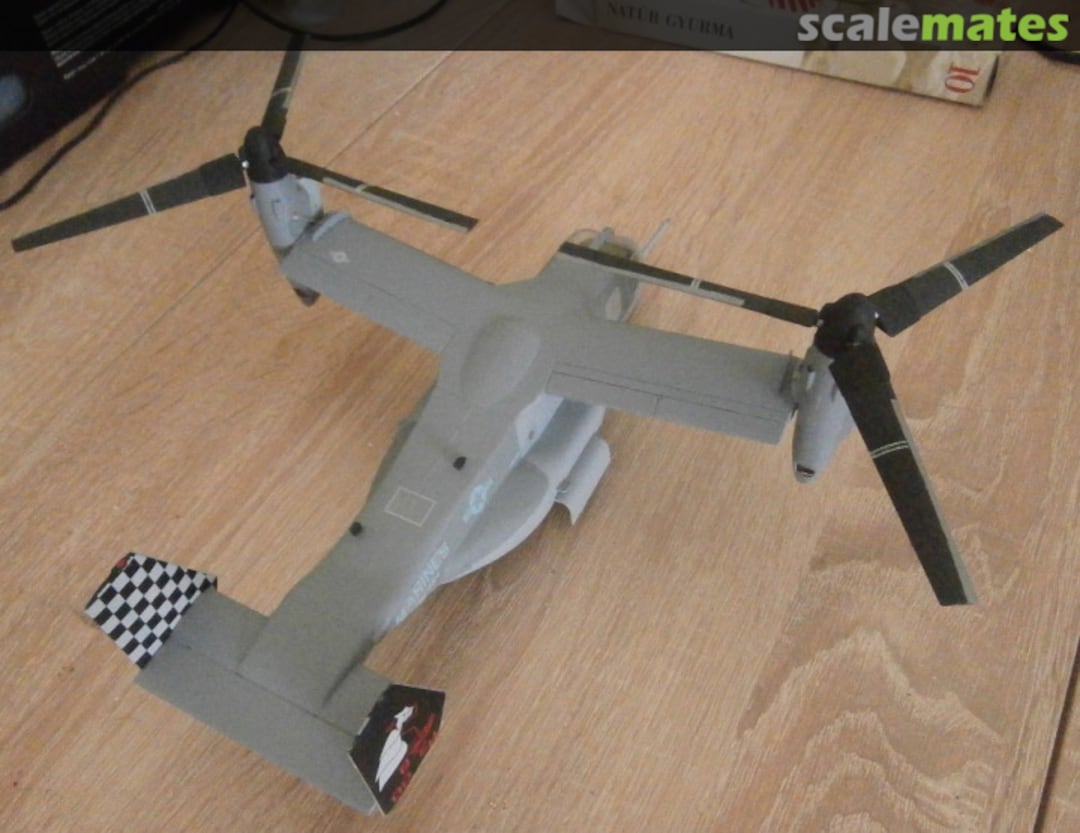 View album, image #1 View album, image #1