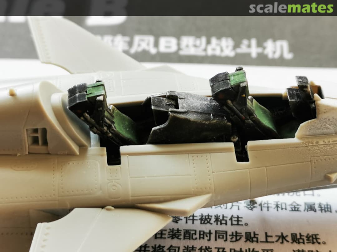 View album, image #1