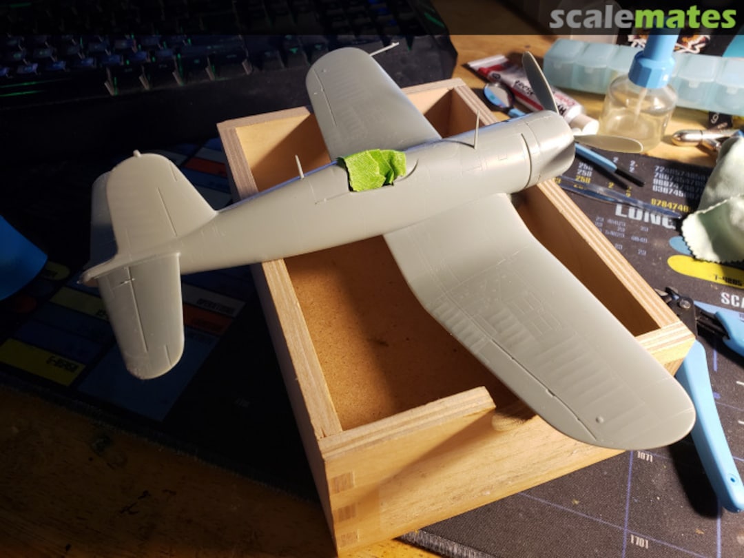 View album, image #1 View album, image #1