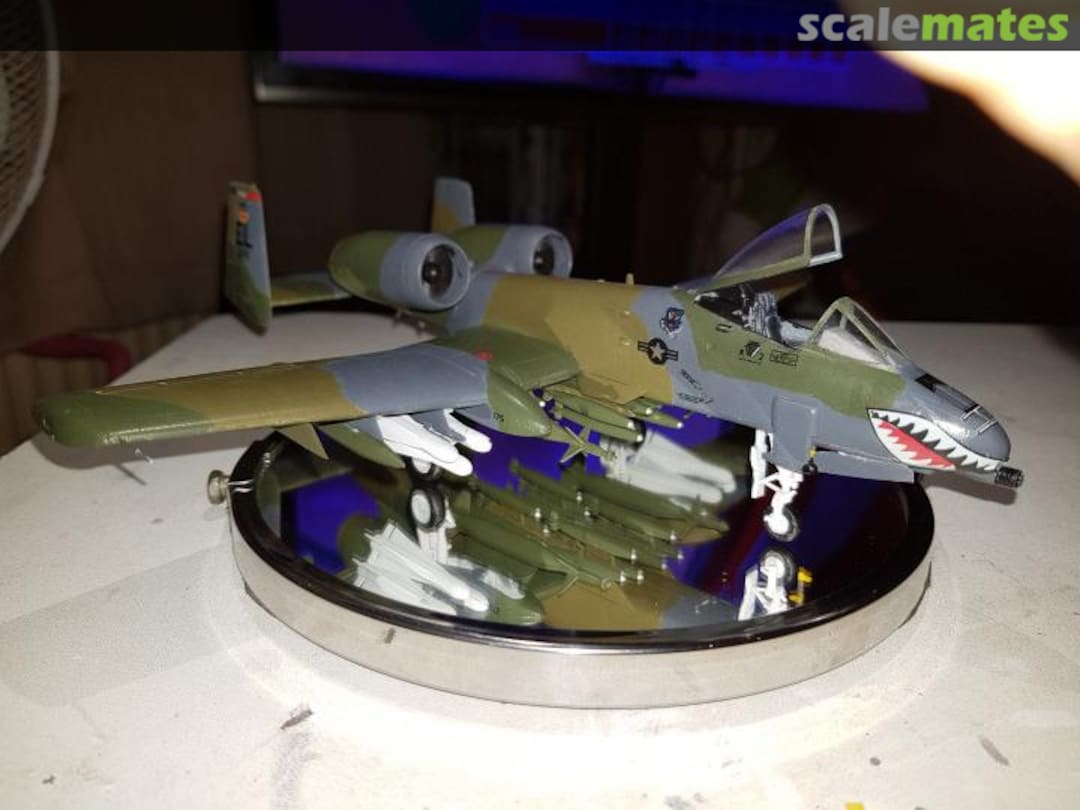 View album, image #11