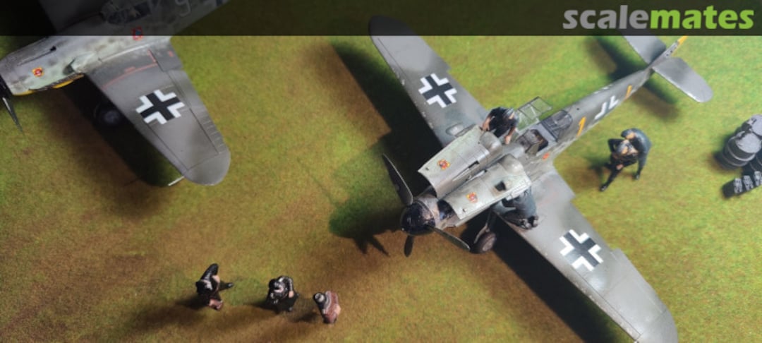 View album, image #23 View album, image #23