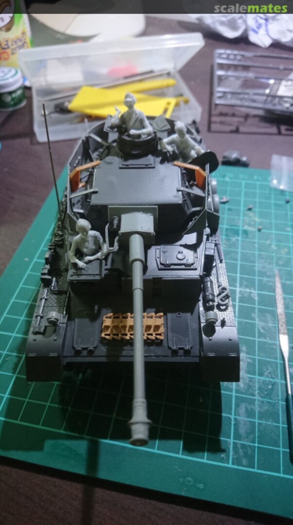 View album, image #1 View album, image #1