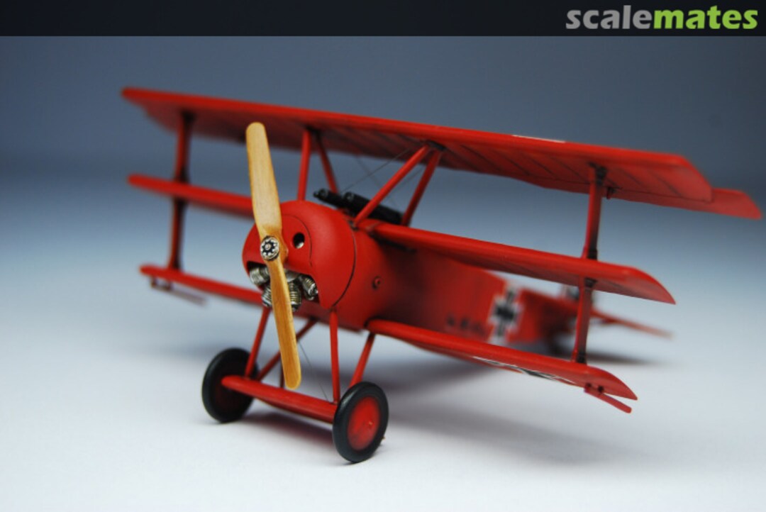 View album, image #1