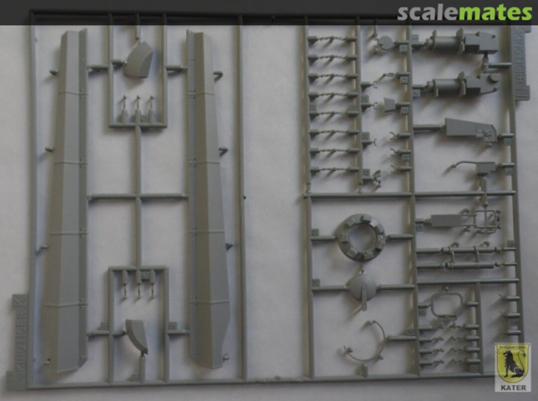 View album, image #1 View album, image #1