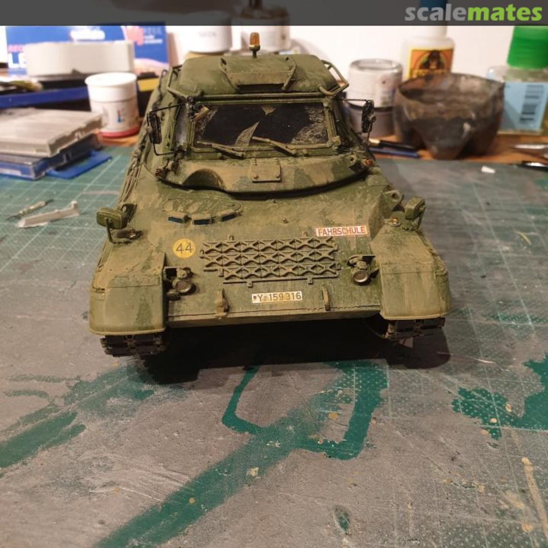 View album, image #1 View album, image #1