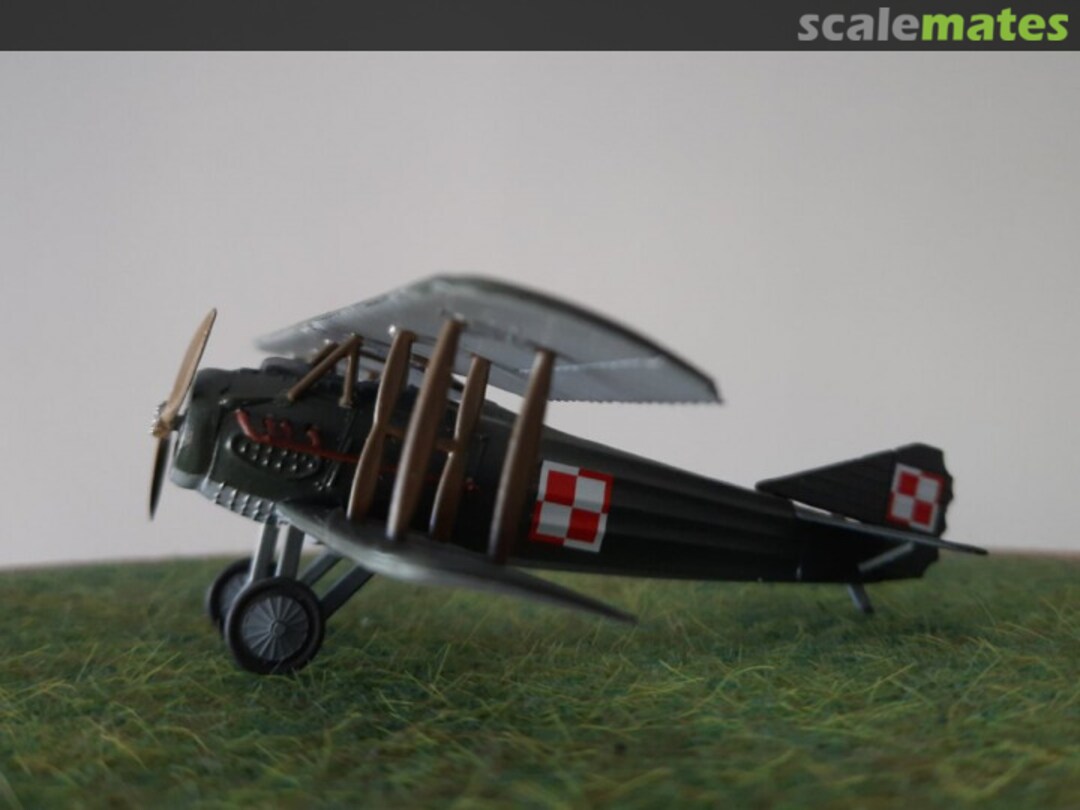 View album, image #1