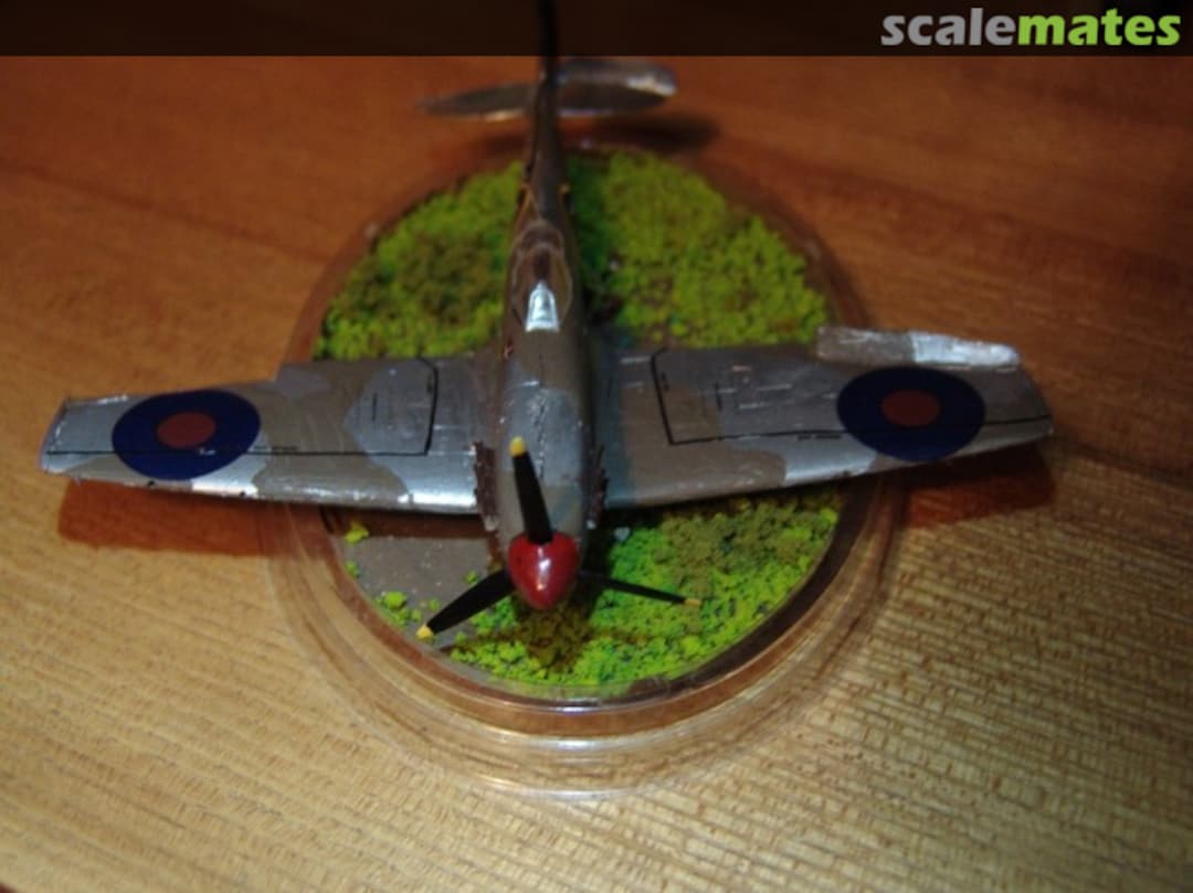 View album, image #1 View album, image #1