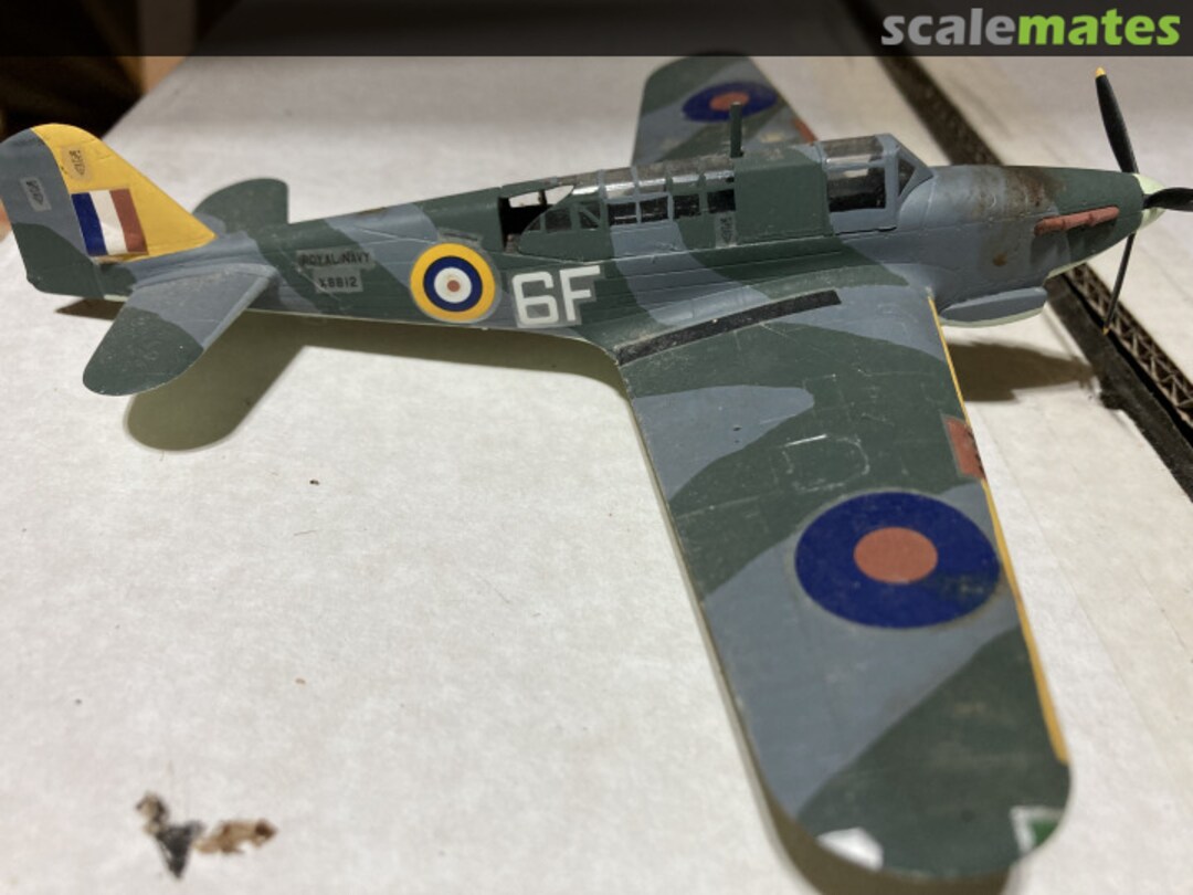 View album, image #1 View album, image #1