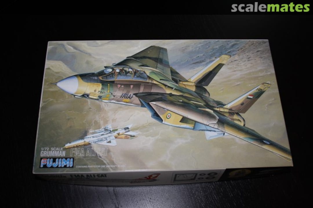 View album, image #1