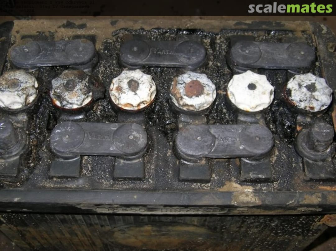 View album, image #1 View album, image #1