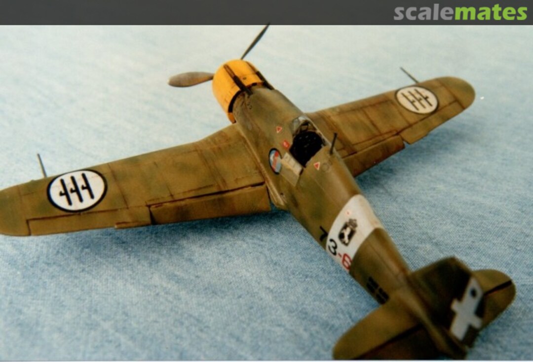 View album, image #1 View album, image #1