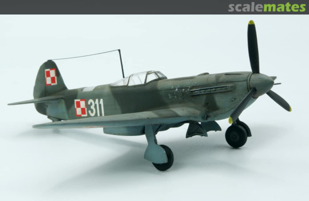 View album, image #1 View album, image #1